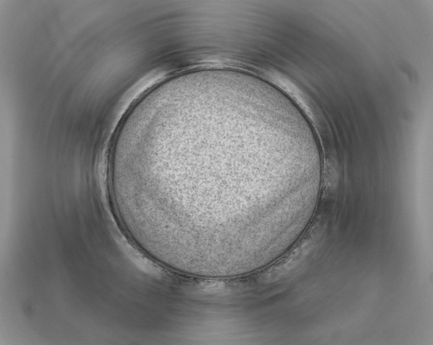 X0000112781098200909101607