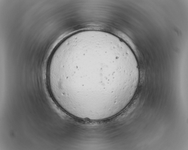 X0000112781099200909101607