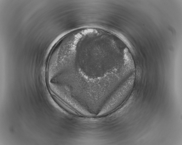 X0000112781100200909101607