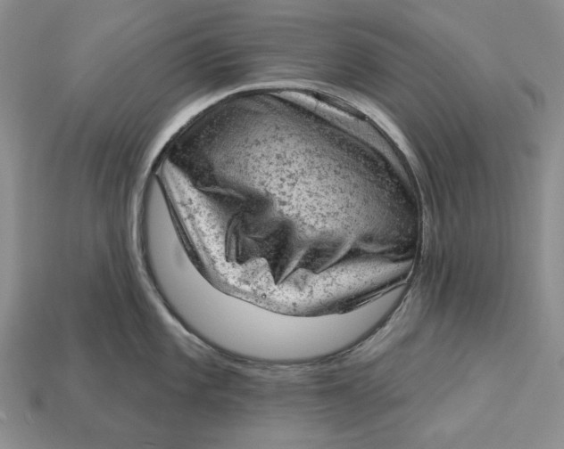 X0000112781101200909101607