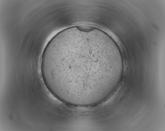 X0000112781102200909101607