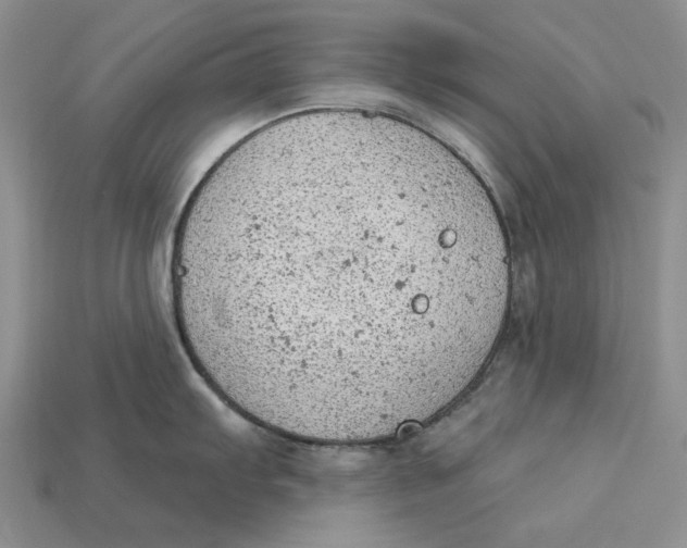 X0000112781103200909101607