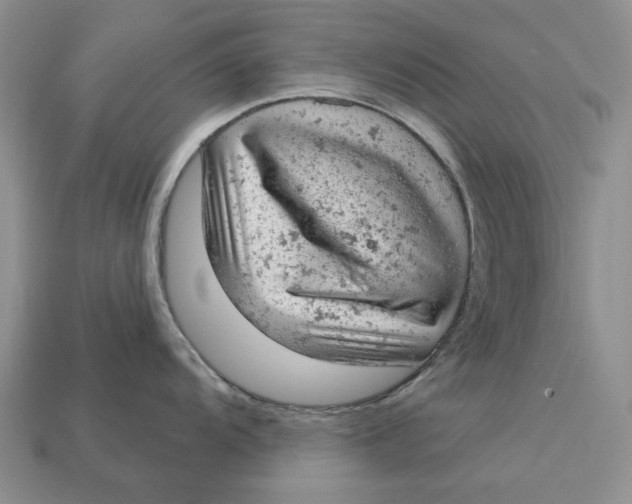 X0000112781104200909101607