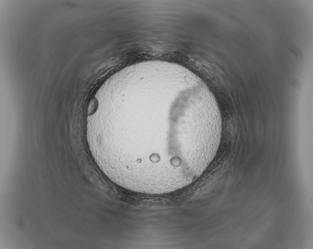 X0000112781105200909101606