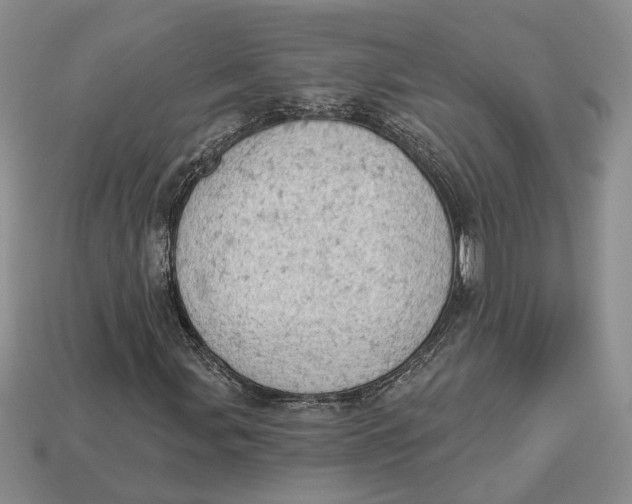 X0000112781107200909101606