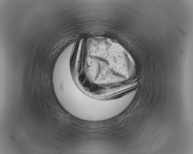 X0000112781108200909101606