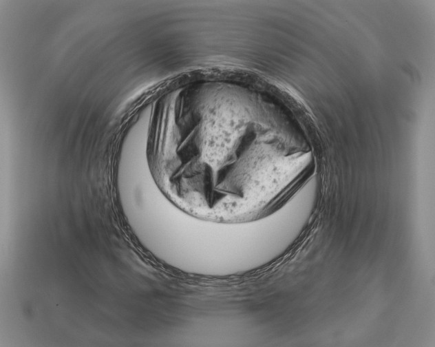 X0000112781112200909101606