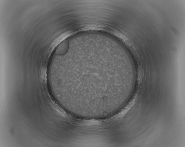 X0000112781113200909101606