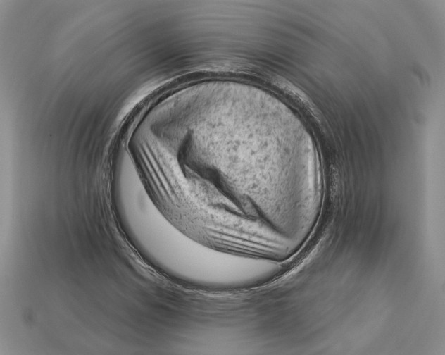 X0000112781114200909101606