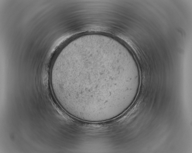 X0000112781115200909101606