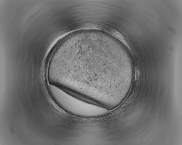 X0000112781116200909101606