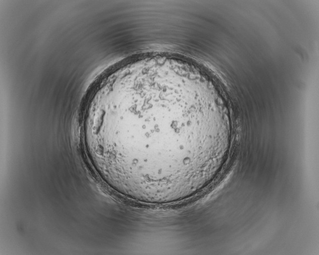 X0000112781117200909101606