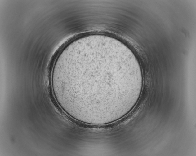 X0000112781118200909101606