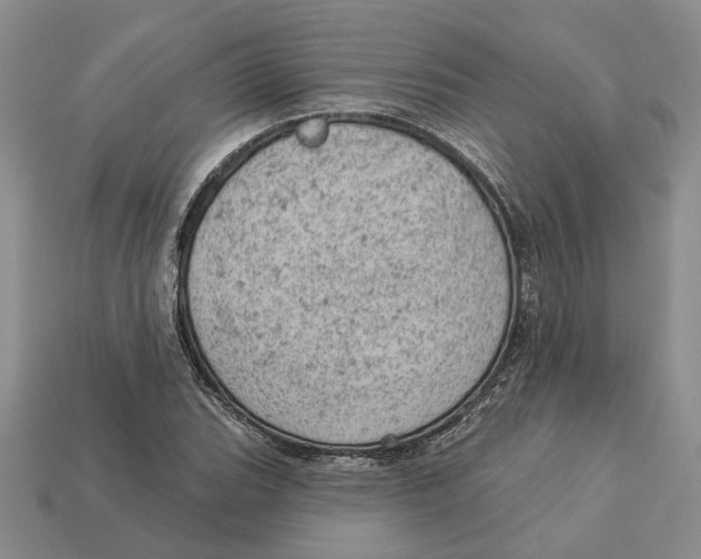 X0000112781119200909101606