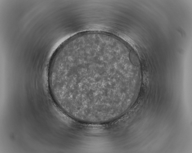 X0000112781120200909101606