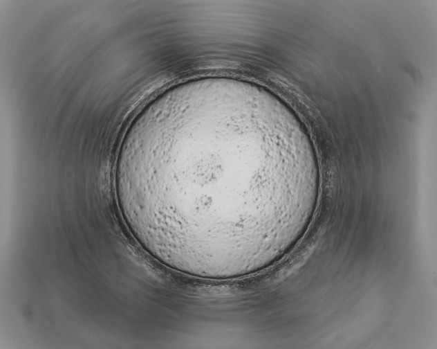 X0000112781121200909101606