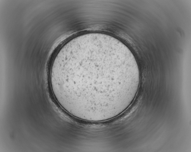 X0000112781122200909101606