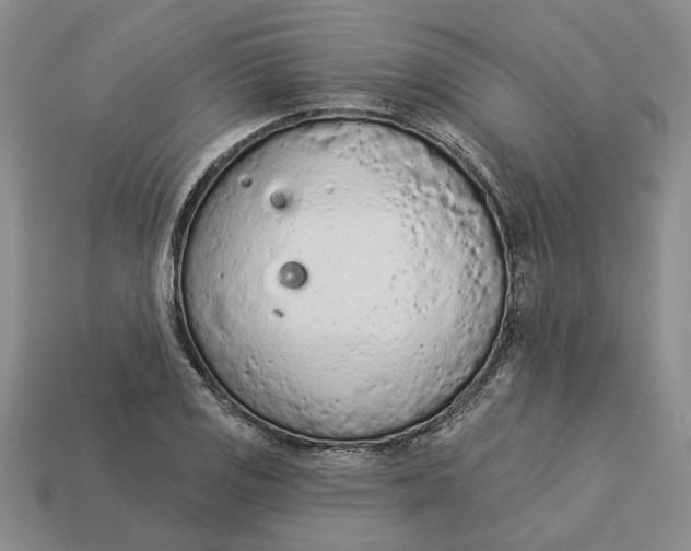 X0000112781125200909101607