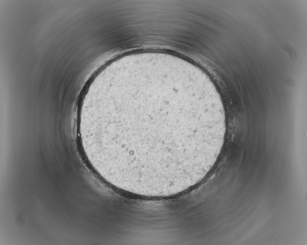 X0000112781126200909101607