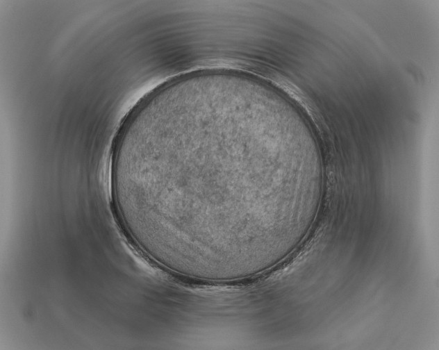 X0000112781127200909101607