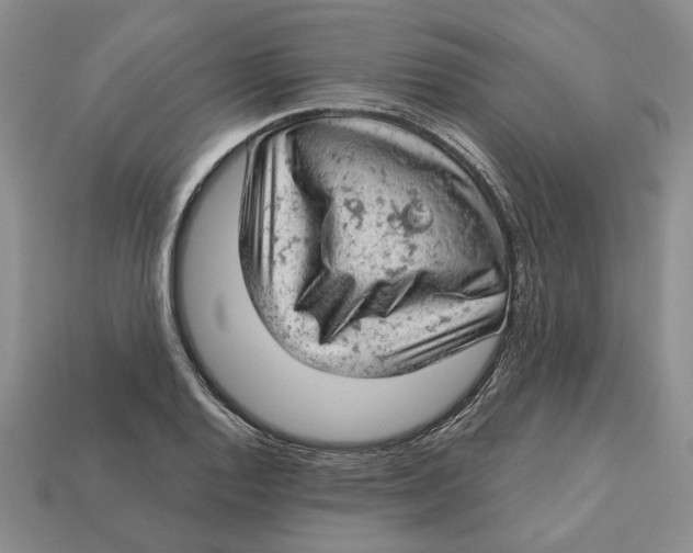 X0000112781128200909101607