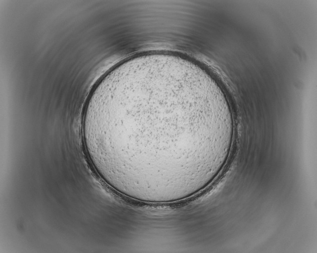 X0000112781129200909101607