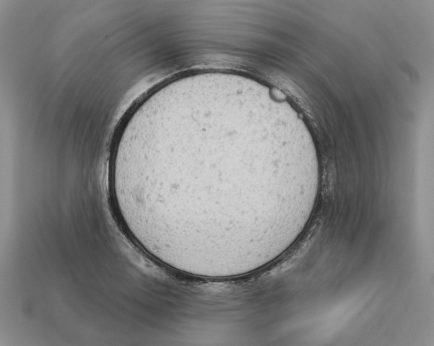 X0000112781130200909101607