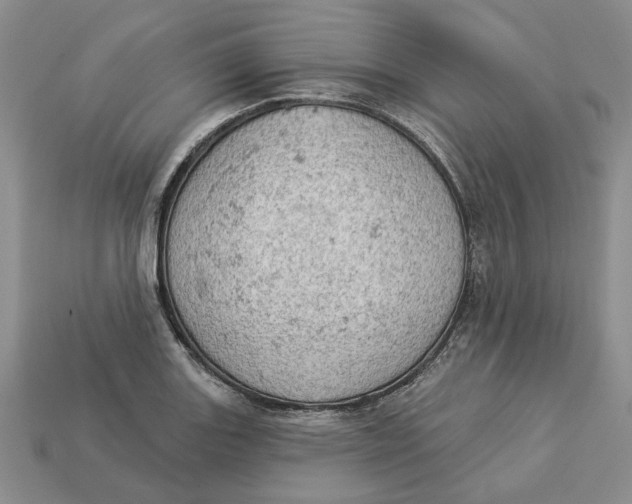 X0000112781131200909101607