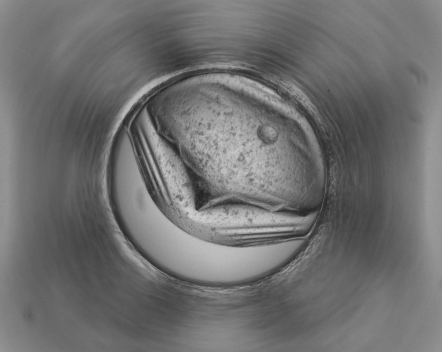 X0000112781132200909101607