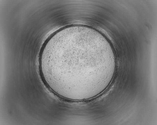 X0000112781133200909101607