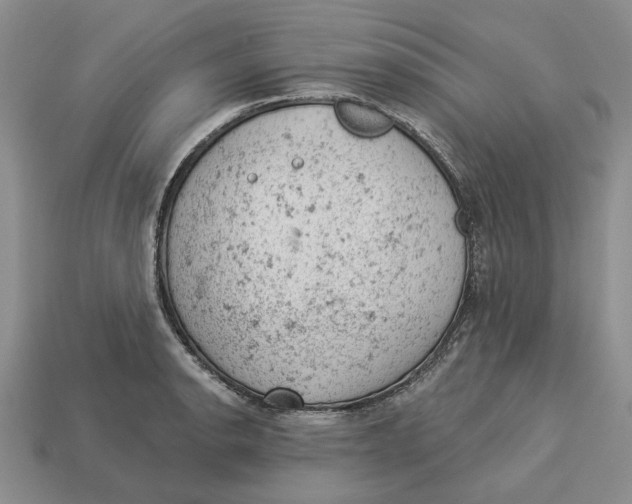 X0000112781134200909101607