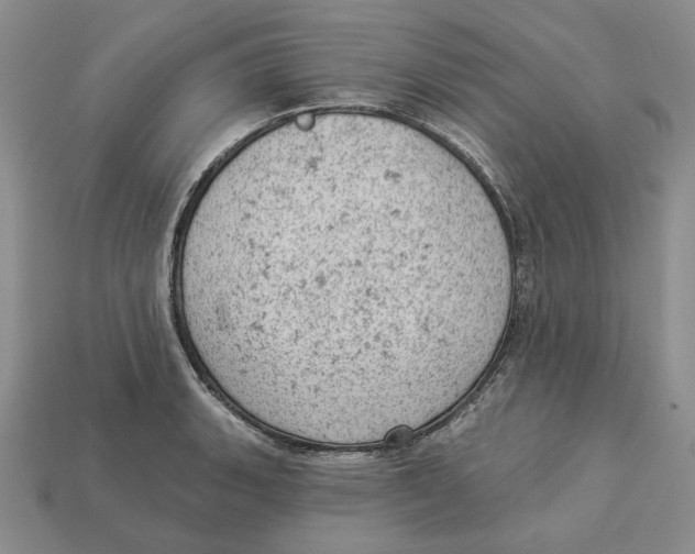 X0000112781135200909101607