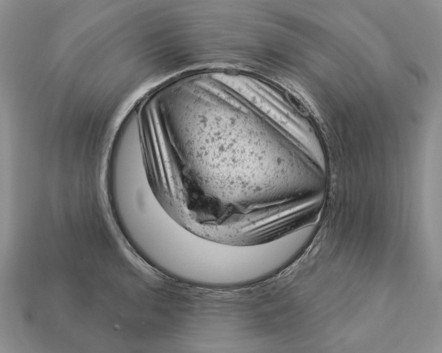 X0000112781136200909101607