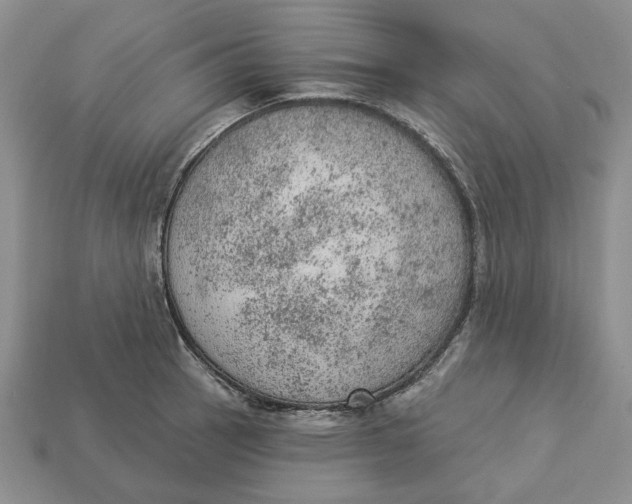 X0000112781137200909101607