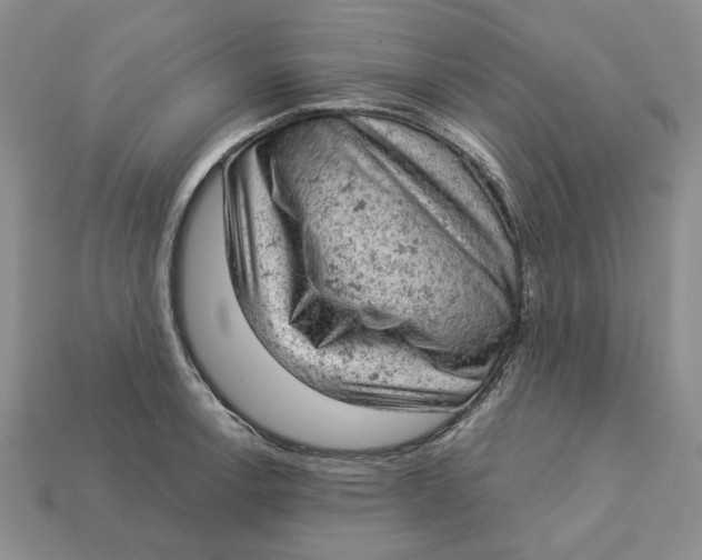 X0000112781138200909101607