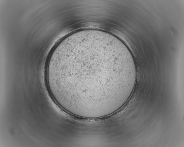 X0000112781139200909101607