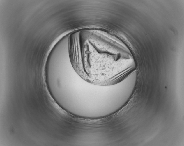 X0000112781140200909101607