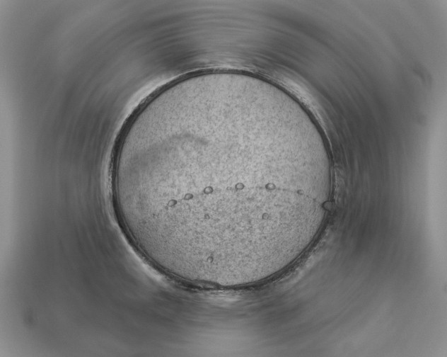 X0000112781141200909101607