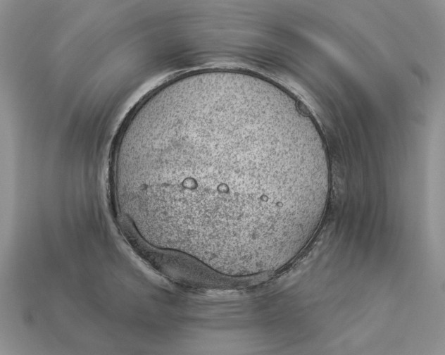 X0000112781142200909101607