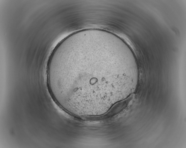 X0000112781143200909101607