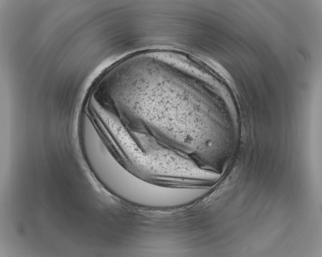 X0000112781144200909101607