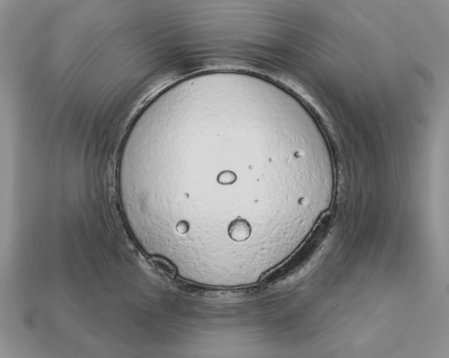 X0000112781145200909101607