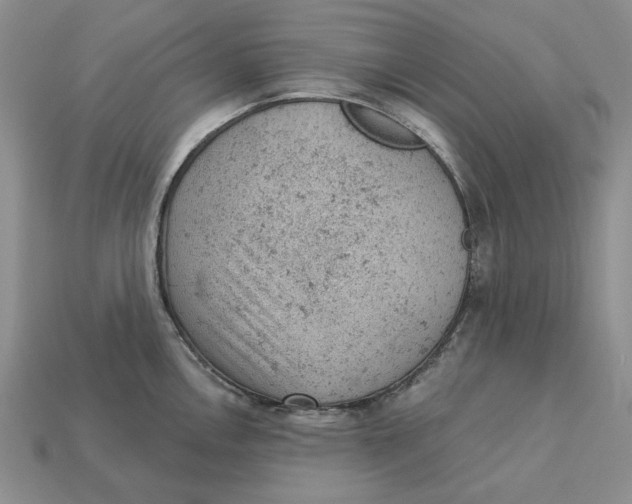 X0000112781146200909101607