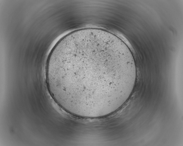 X0000112781148200909101607