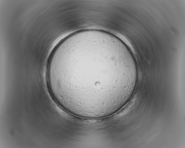 X0000112781149200909101607