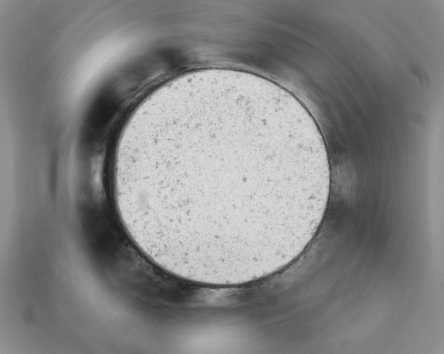 X0000112781150200909101607