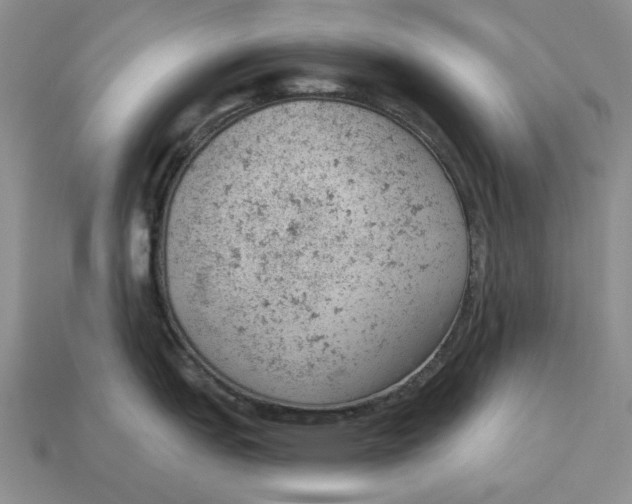 X0000112781151200909101607