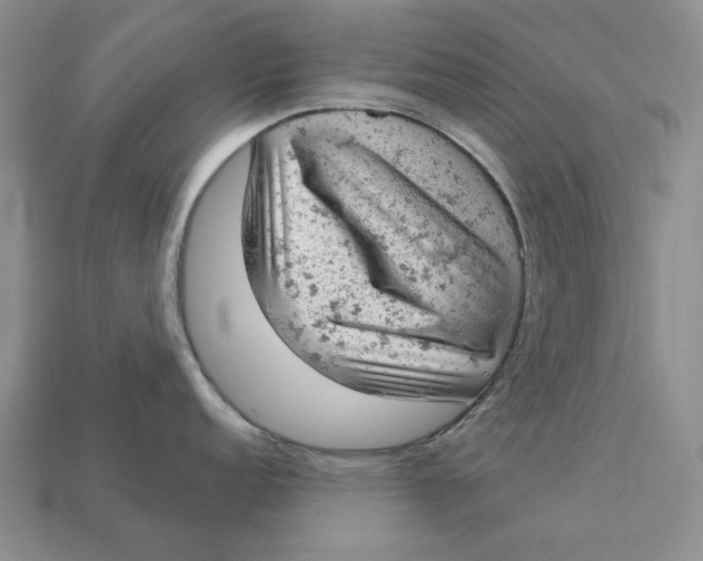 X0000112781152200909101607