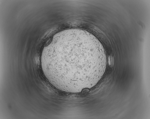 X0000112781155200909101606