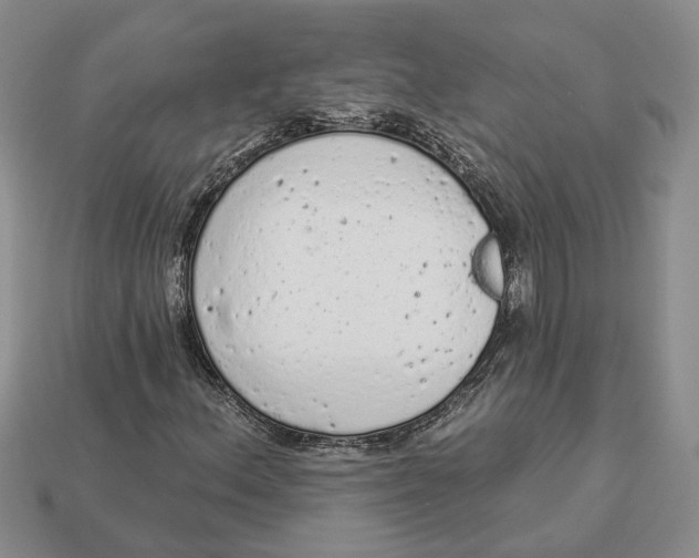 X0000112781156200909101606